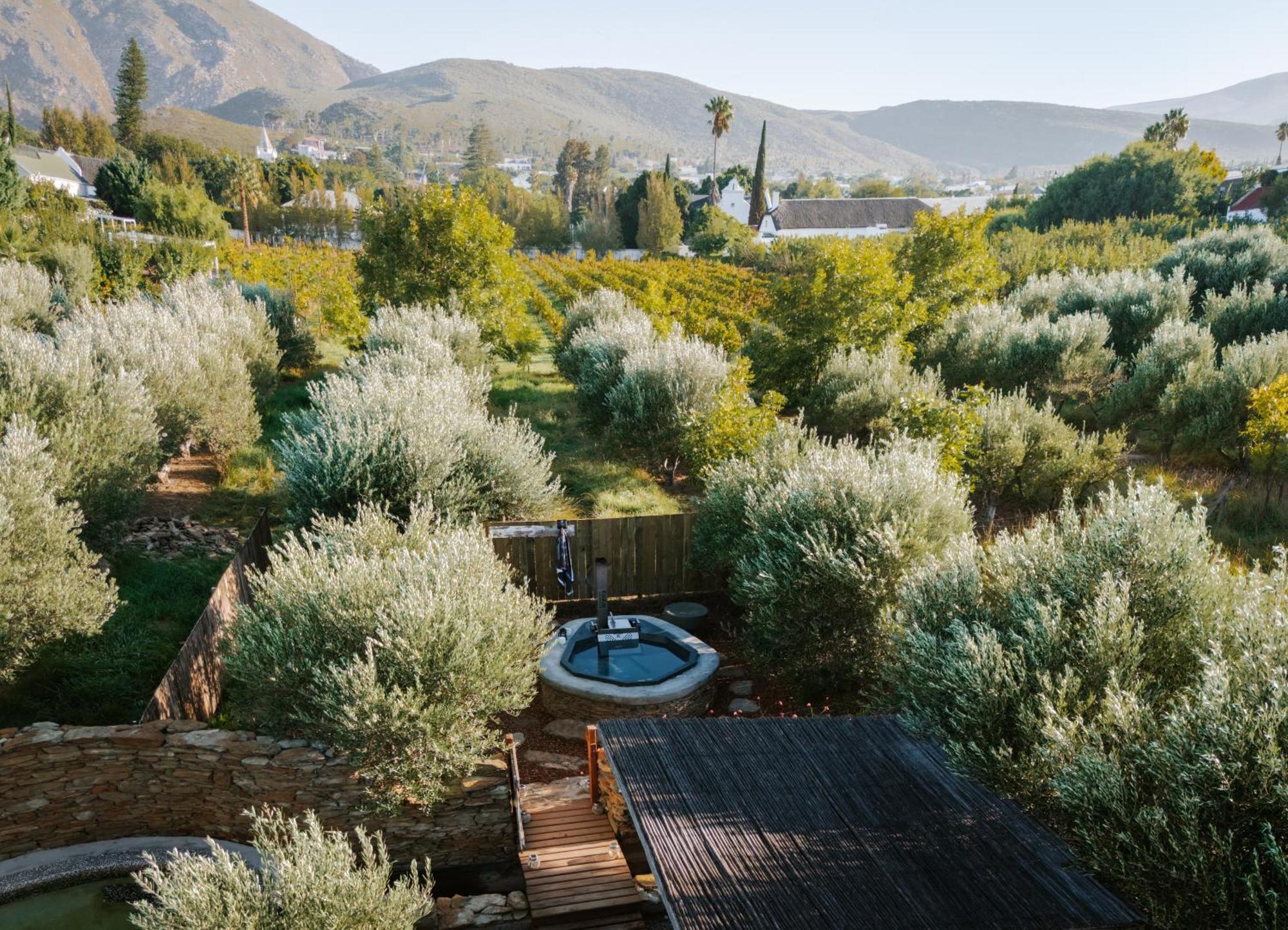 Olive Stone Farm Cottage Montagu Esterno foto